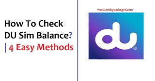 How To Check DU Sim Balance